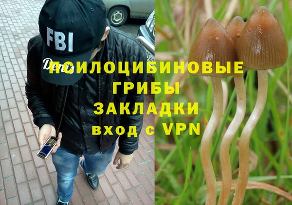 mdma Козловка